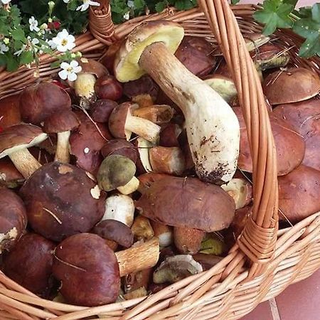 Agroturystyka Rebowo Klodawa  Buitenkant foto