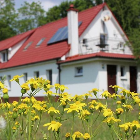 Agroturystyka Rebowo Klodawa  Buitenkant foto