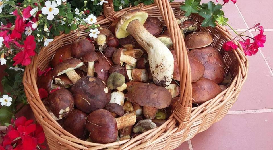 Agroturystyka Rebowo Klodawa  Buitenkant foto