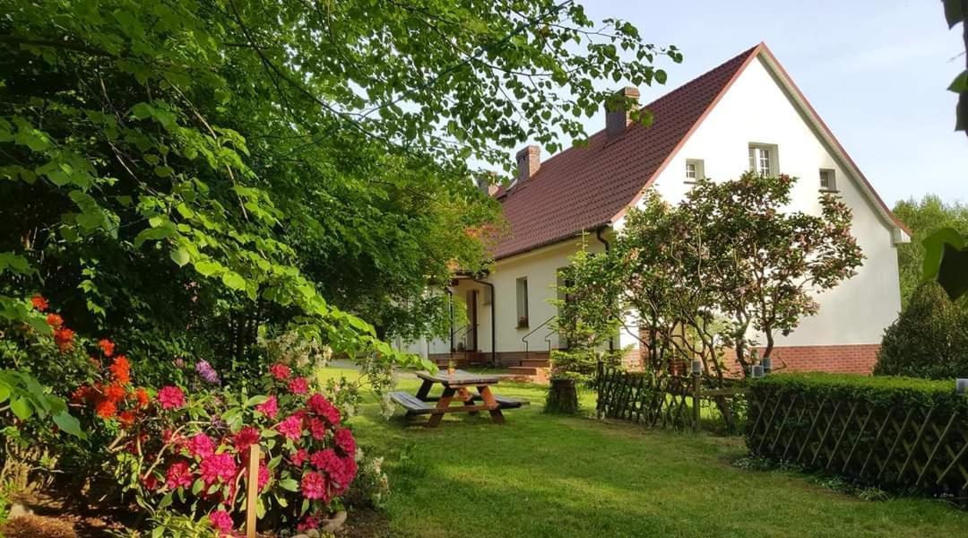 Agroturystyka Rebowo Klodawa  Buitenkant foto