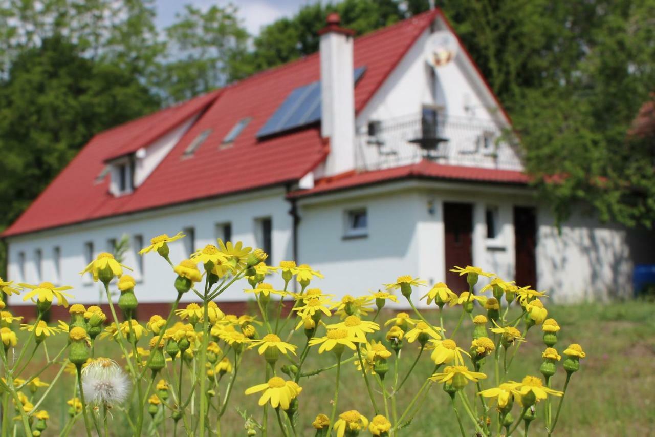 Agroturystyka Rebowo Klodawa  Buitenkant foto